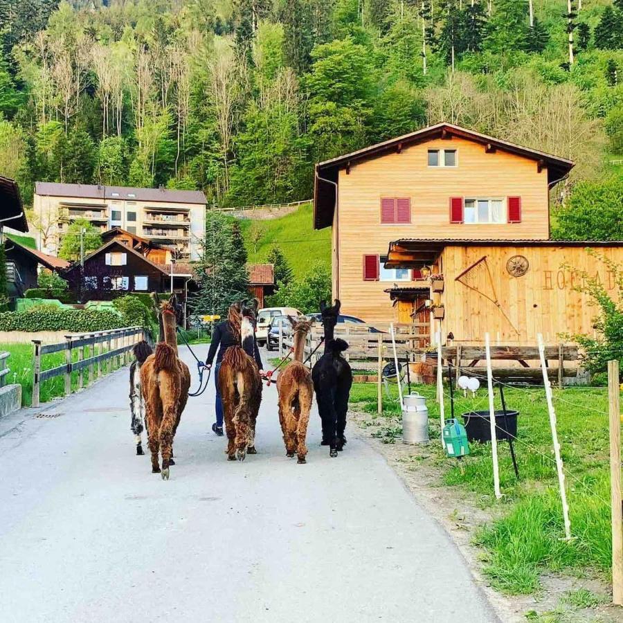 Jurte Beim Lama- & Alpakahof Triesenberg Hotel Екстериор снимка