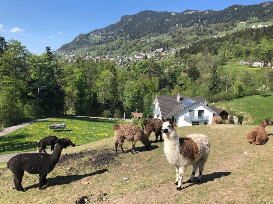 Jurte Beim Lama- & Alpakahof Triesenberg Hotel Екстериор снимка